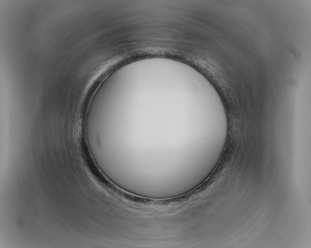 X0000113860016200909241035