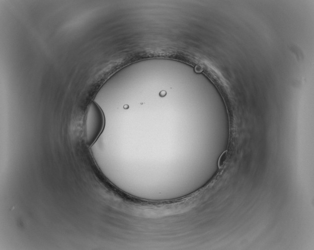 X0000113860017200909241035