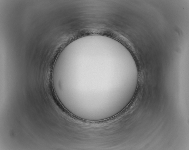 X0000113860018200909241035