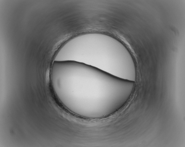 X0000113860019200909241035