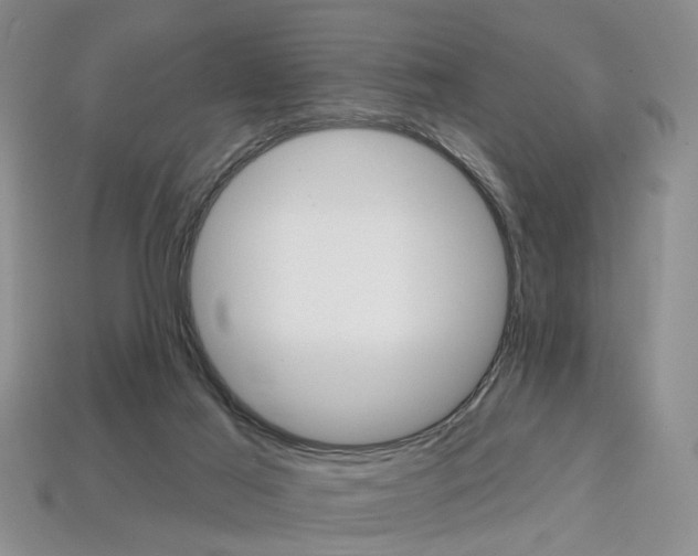 X0000113860021200909241035