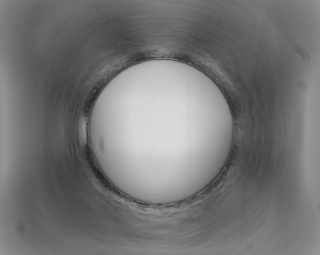 X0000113860022200909241035