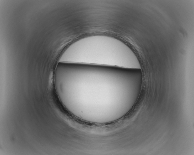X0000113860024200909241035