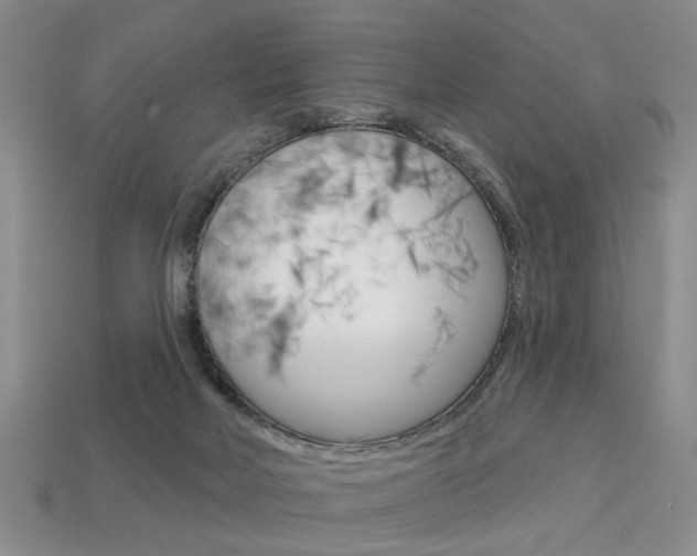 X0000113860026200909241035