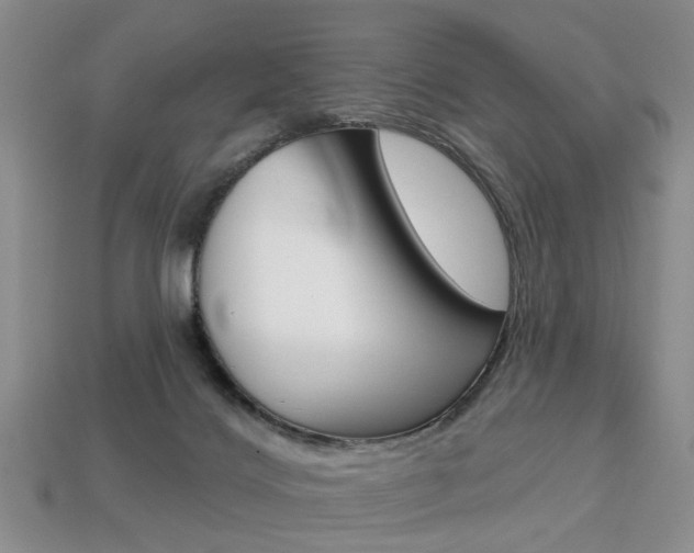 X0000113860028200909241035