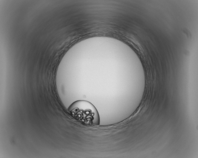 X0000113860029200909241035