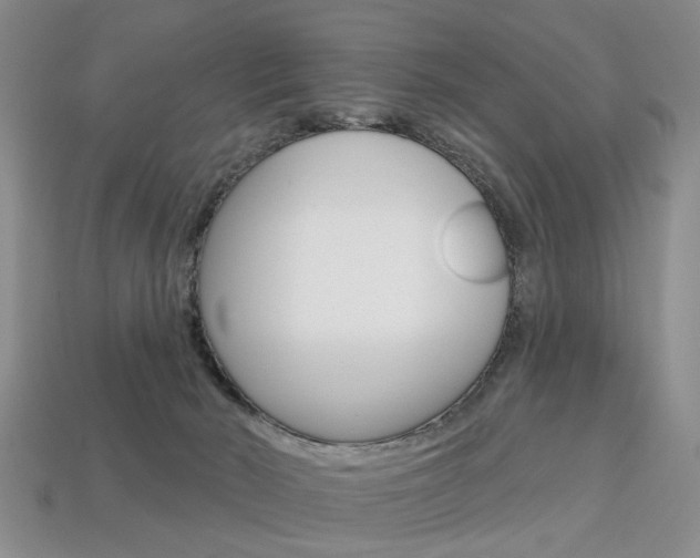 X0000113860030200909241035