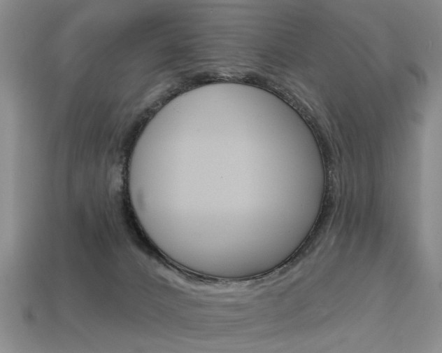 X0000113860032200909241034