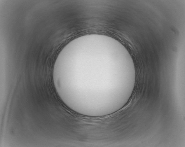 X0000113860033200909241034