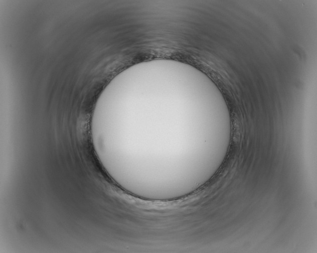 X0000113860034200909241034