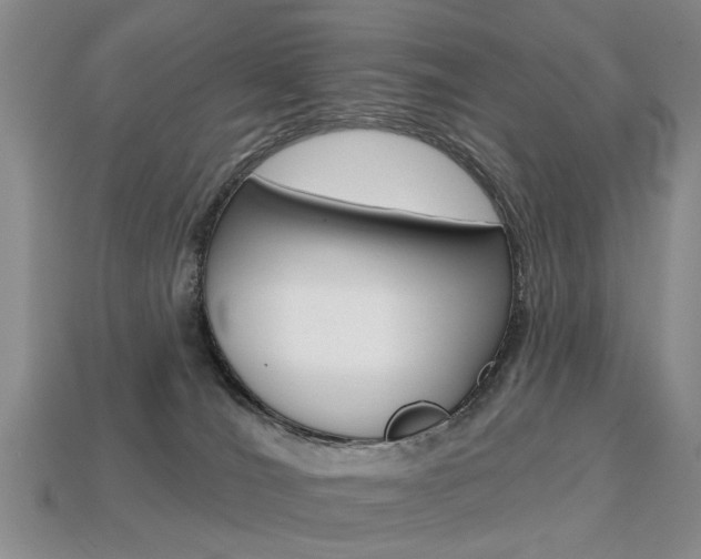 X0000113860036200909241034