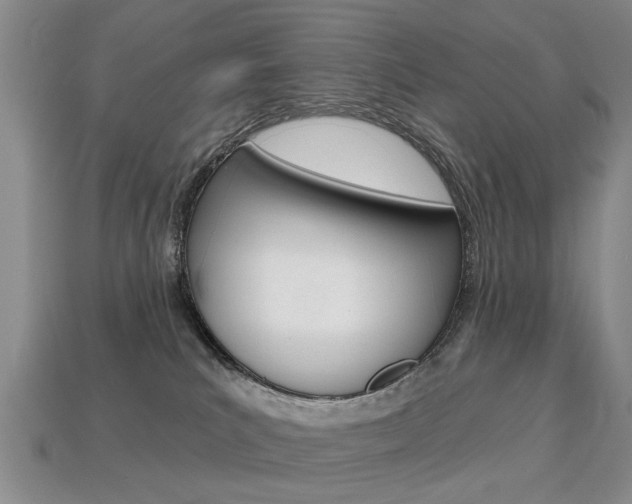 X0000113860039200909241034