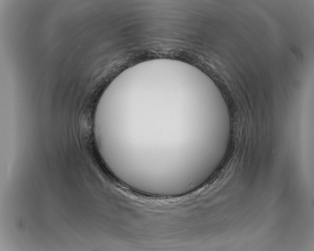 X0000113860040200909241034