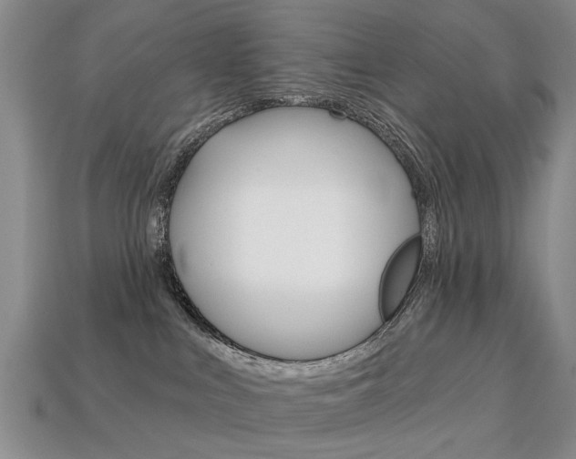 X0000113860043200909241034