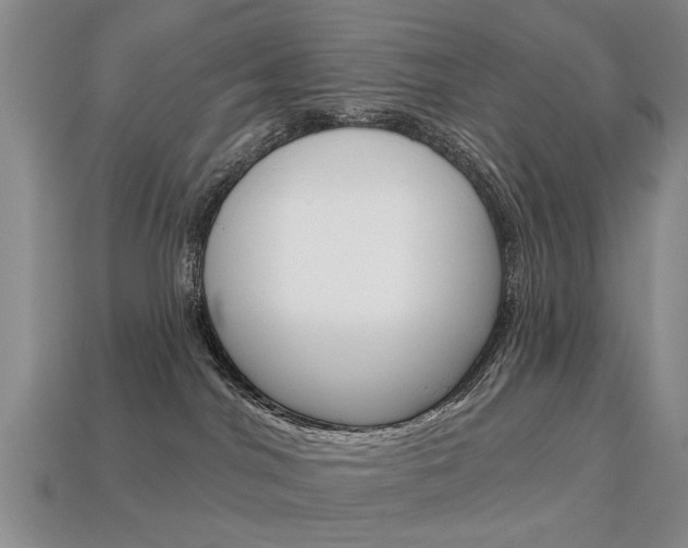 X0000113860044200909241034
