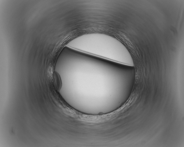 X0000113860045200909241034