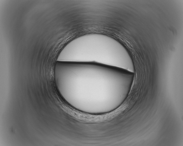 X0000113860048200909241034
