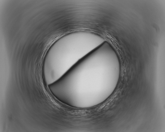 X0000113860049200909241034