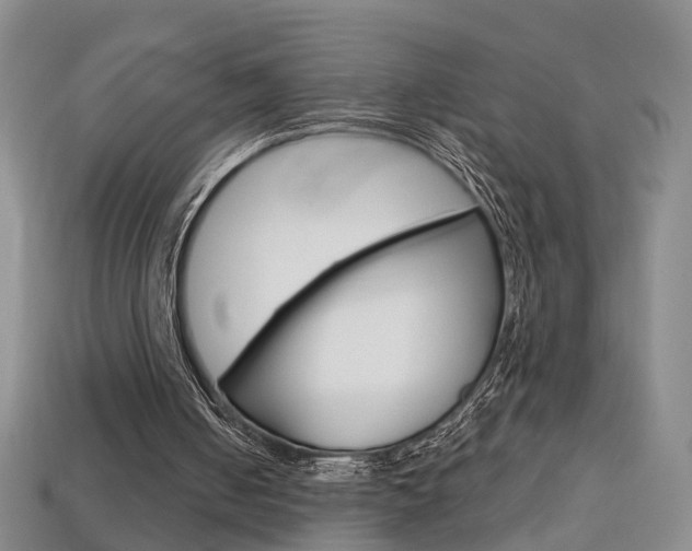 X0000113860050200909241034