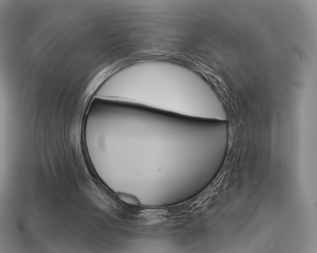 X0000113860051200909241034