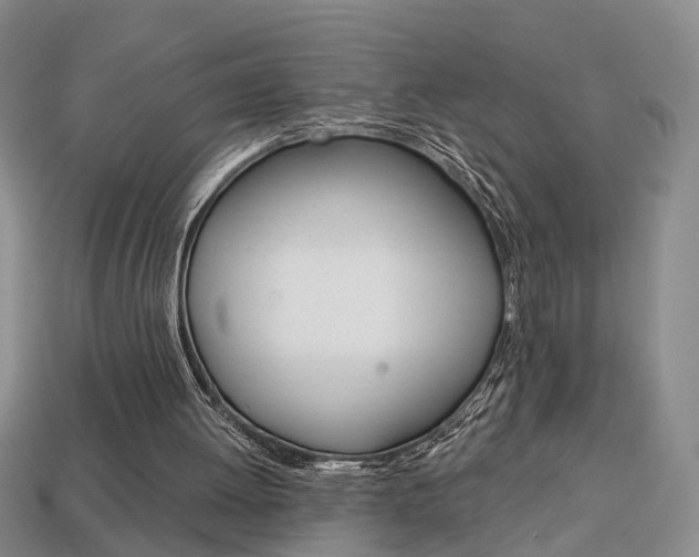 X0000113860052200909241034