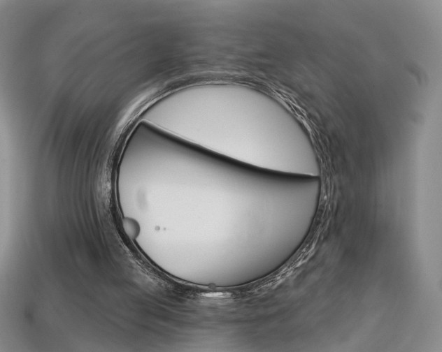 X0000113860053200909241034