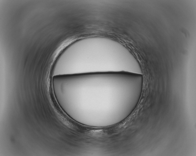 X0000113860054200909241034