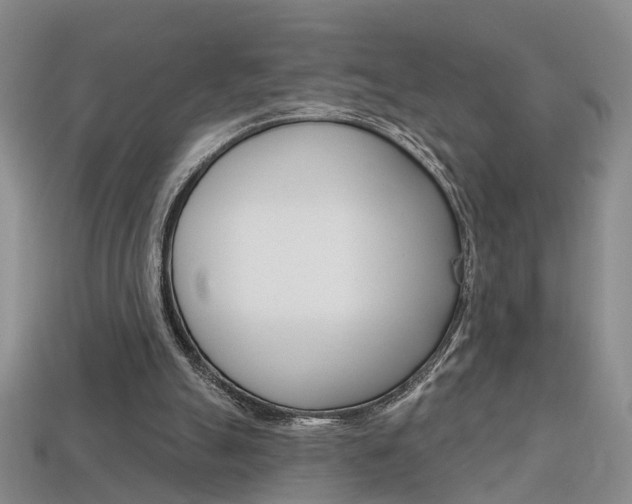 X0000113860055200909241034