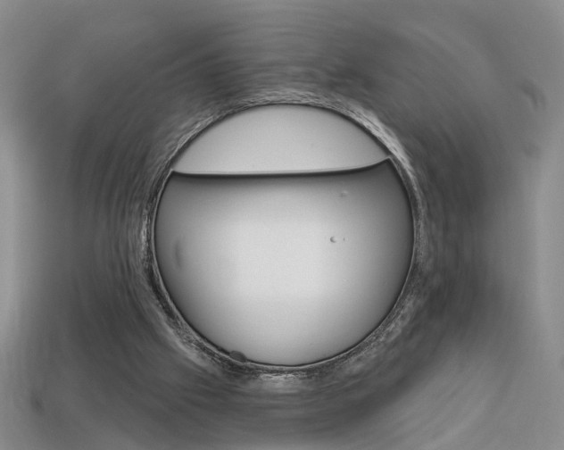 X0000113860057200909241034