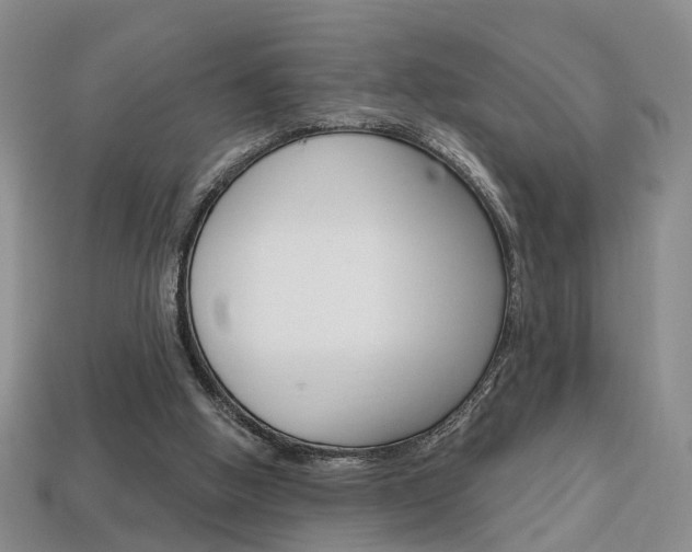 X0000113860058200909241034