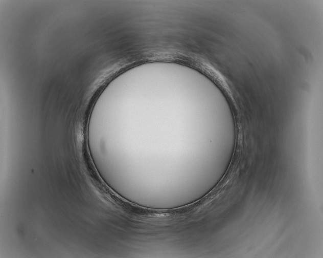 X0000113860059200909241034