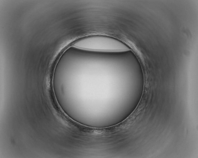 X0000113860060200909241034