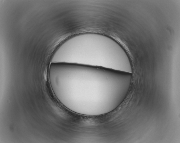 X0000113860062200909241034