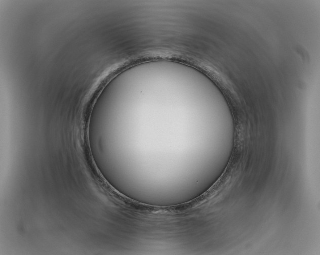 X0000113860064200909241034