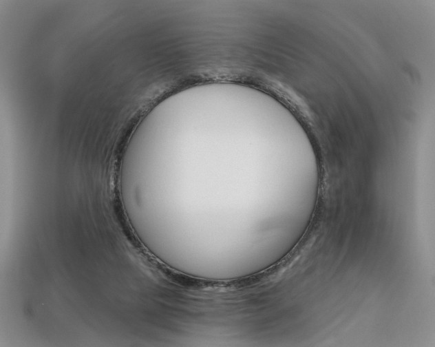 X0000113860065200909241034