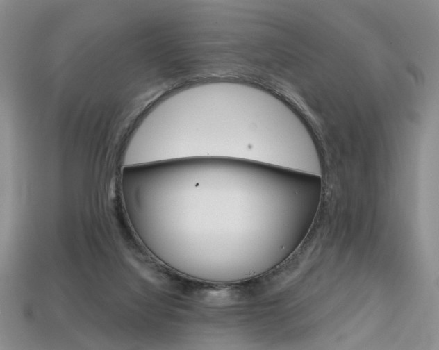 X0000113860068200909241034