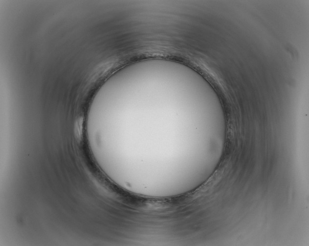 X0000113860070200909241034