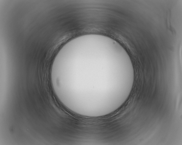 X0000113860072200909241034