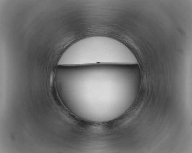 X0000113860076200909241034