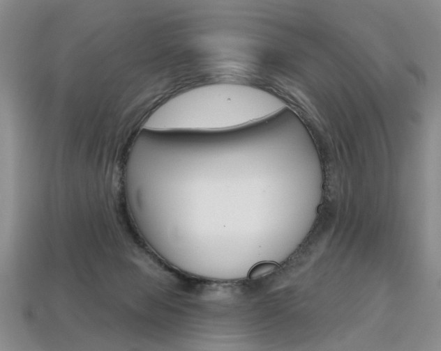 X0000113860077200909241034