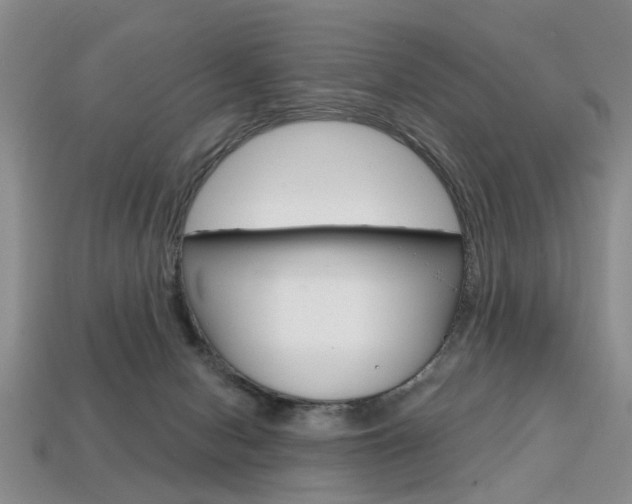 X0000113860078200909241034