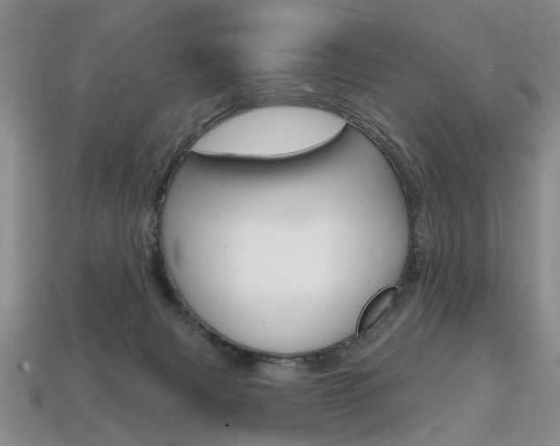 X0000113860079200909241034