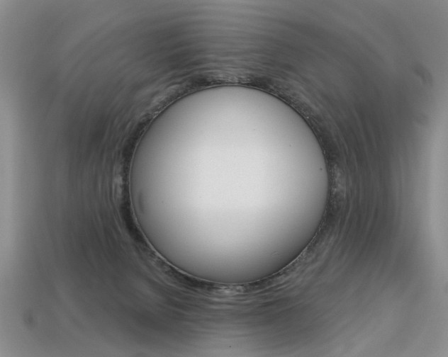 X0000113860080200909241034