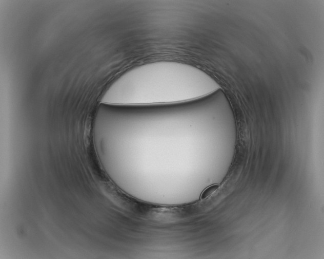 X0000113860082200909241034