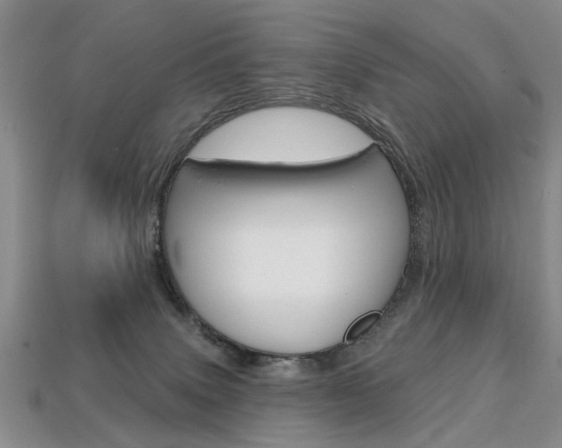 X0000113860083200909241034