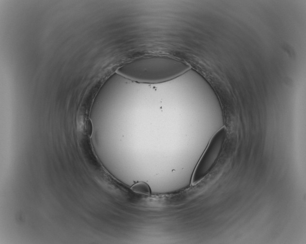X0000113860084200909241034