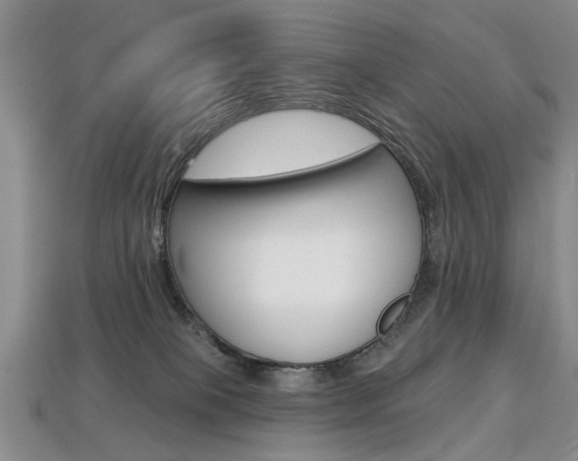 X0000113860085200909241034
