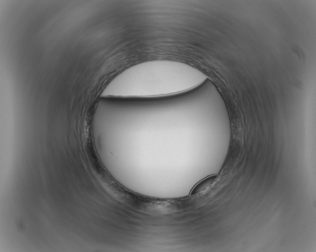X0000113860086200909241034