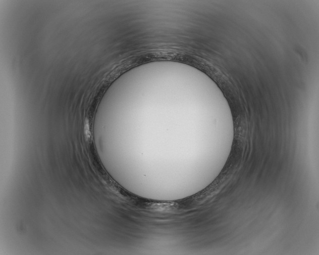 X0000113860089200909241034