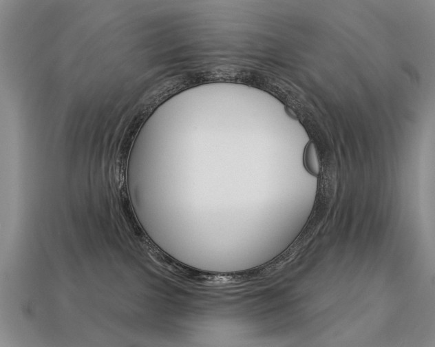 X0000113860091200909241034